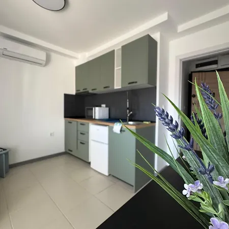 лилия 2 * Primorsko