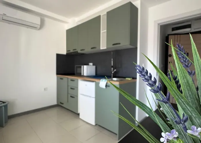 лилия 2 * プリモルスコ